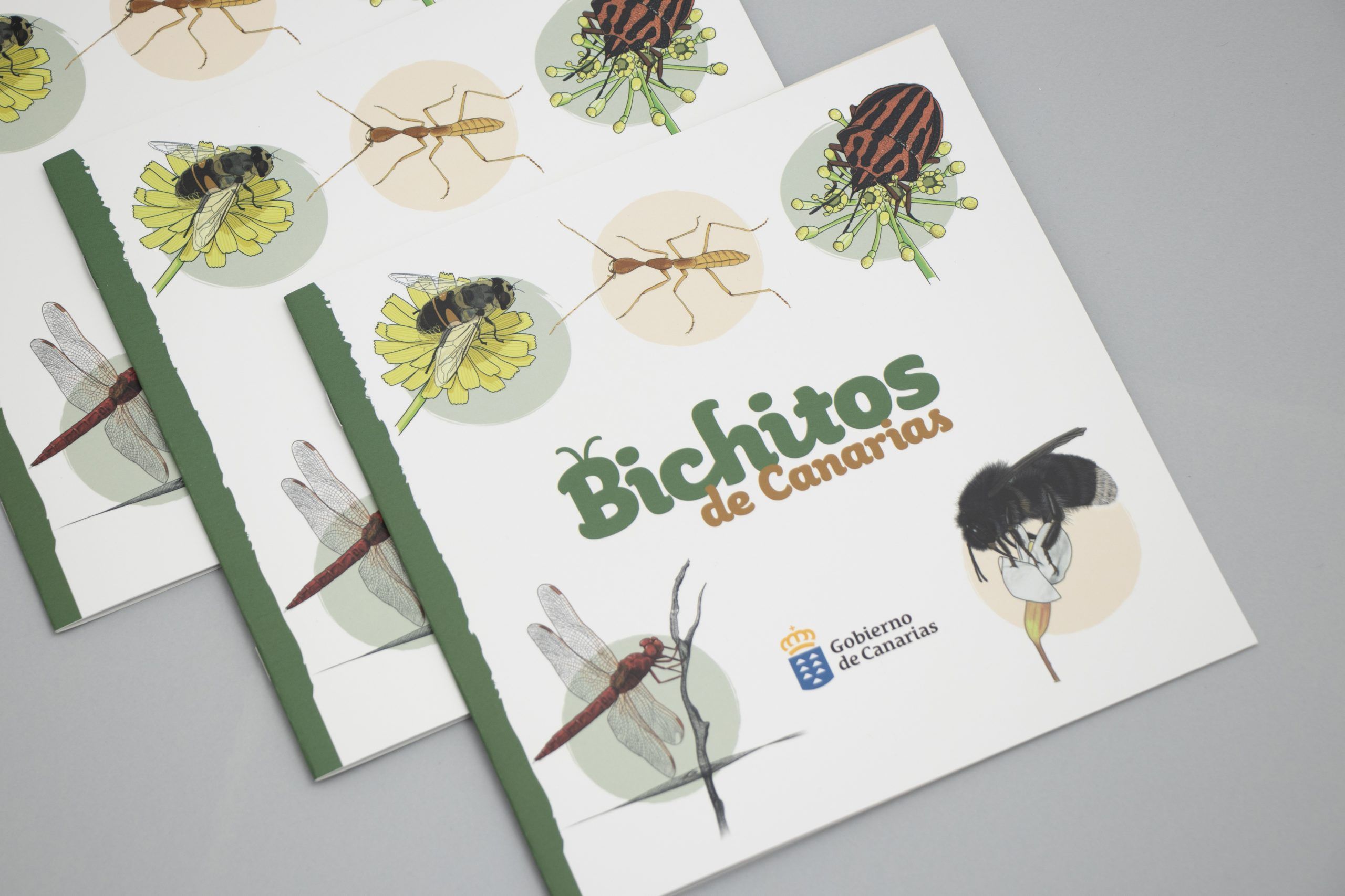 bichitos-canarias-libro-ilustrado-6