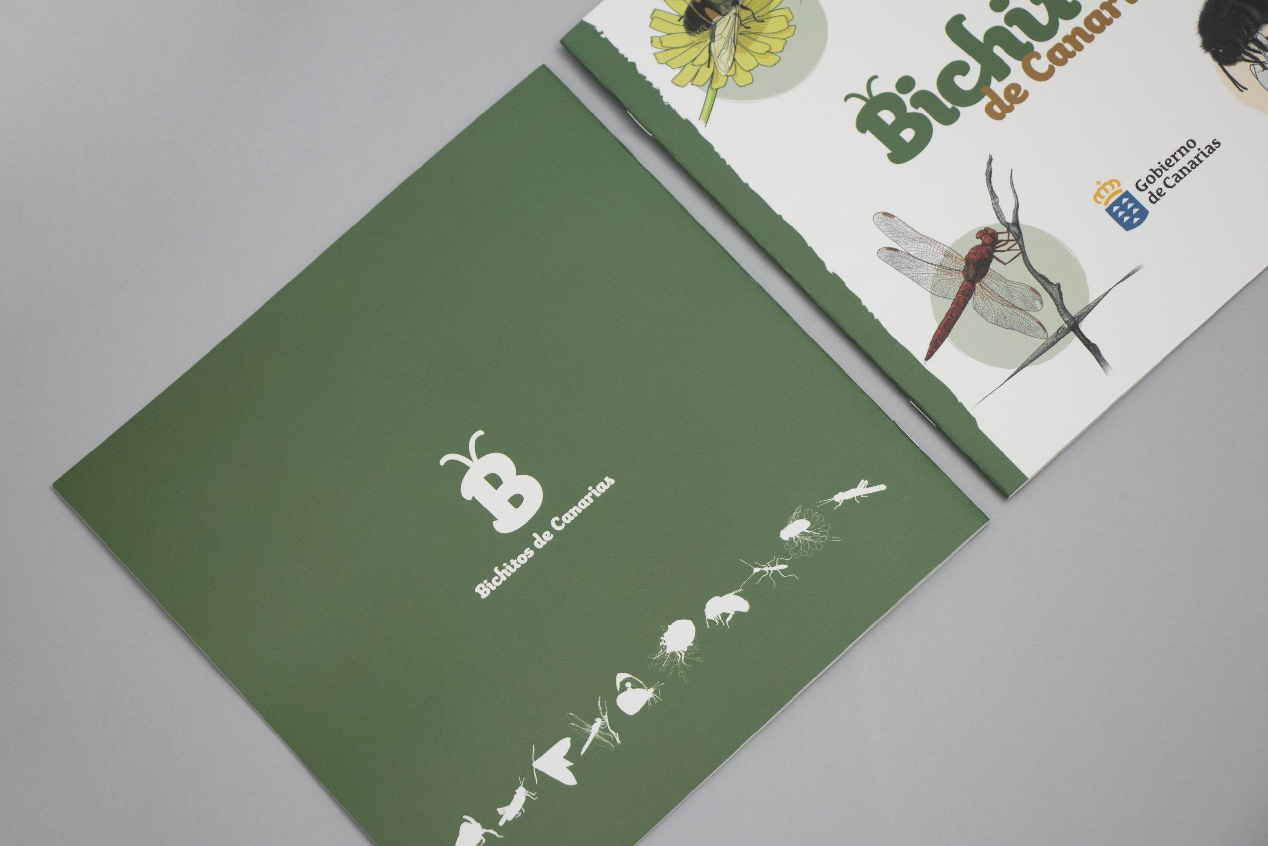 bichitos-canarias-libro-ilustrado-5