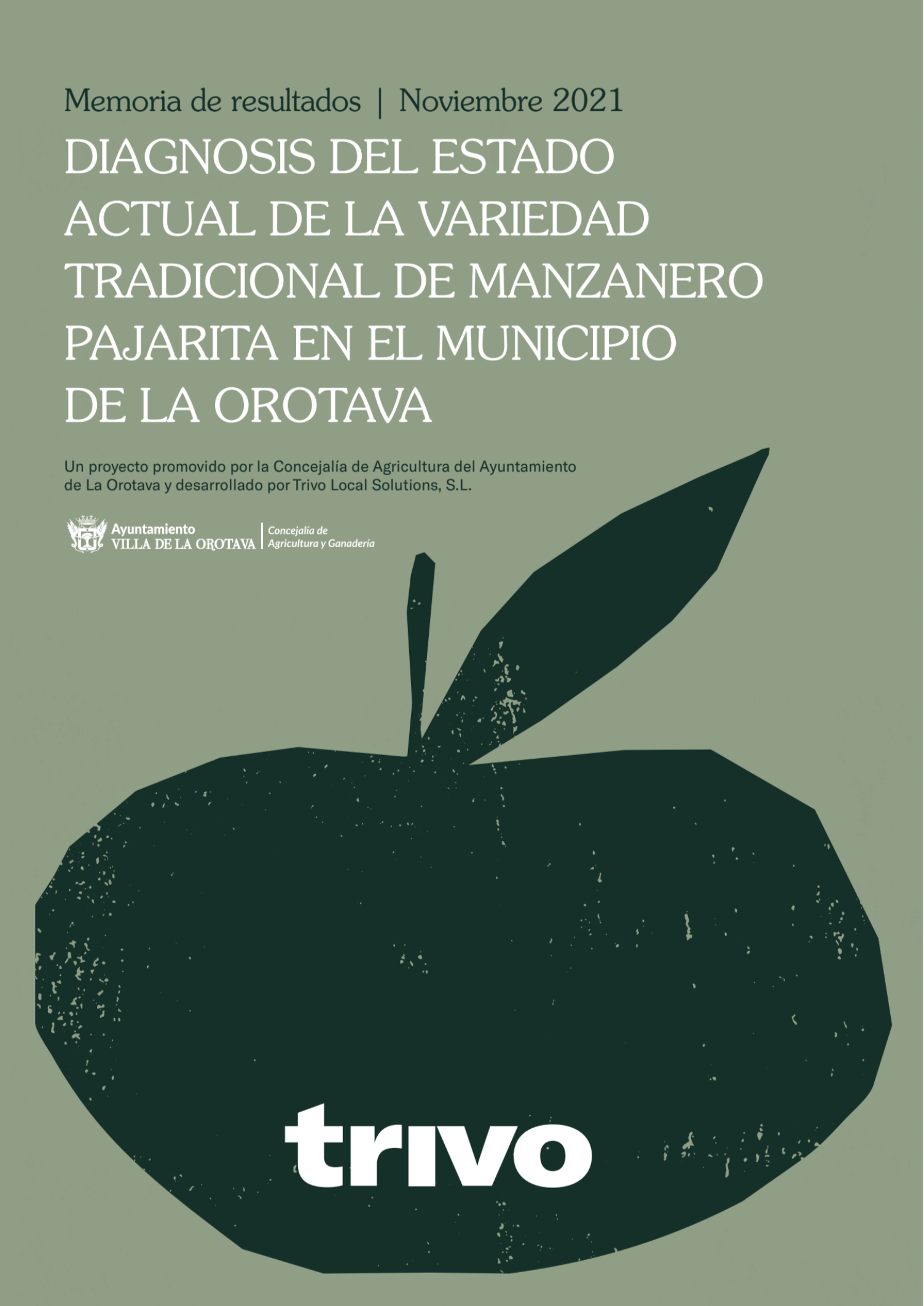 tradicional-manzanero-pajarita-3