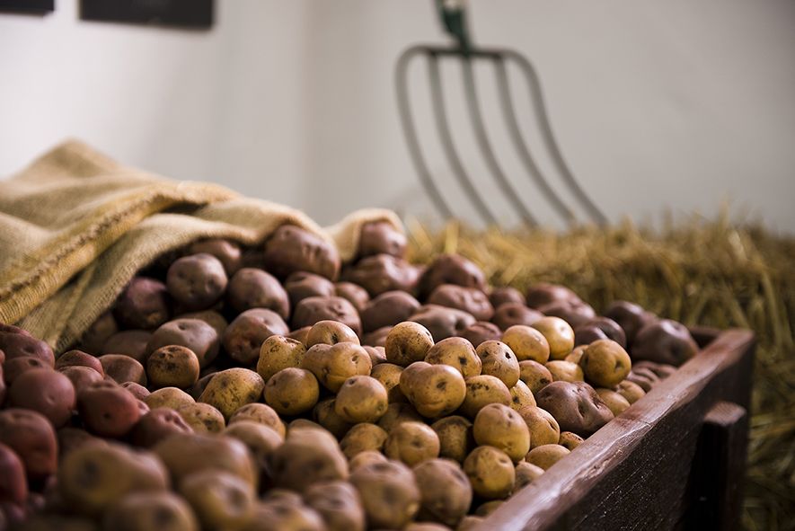 mercado-candelaria-patrimonio-culinario-canarias-5