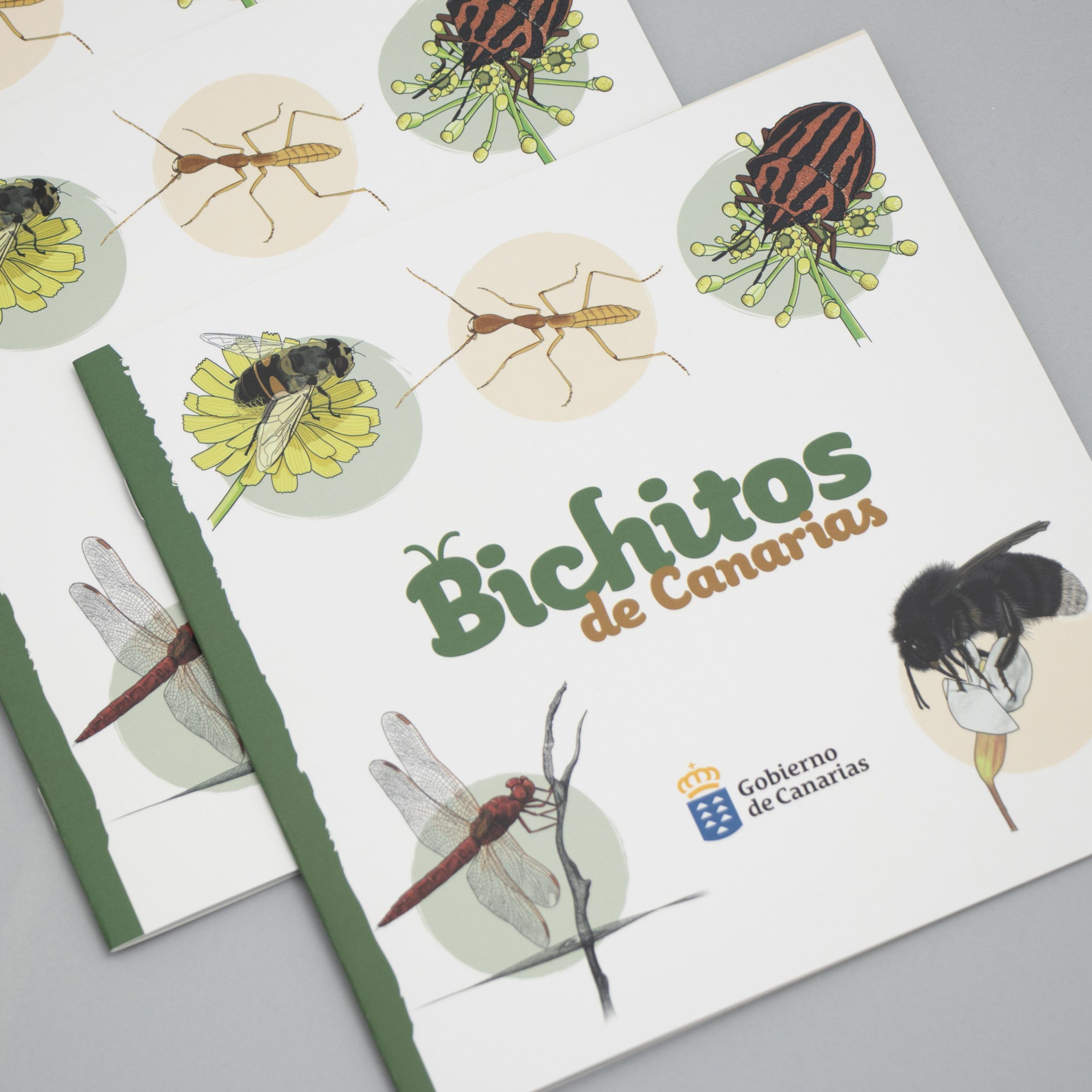 bichitos-canarias-libro-ilustrado-6